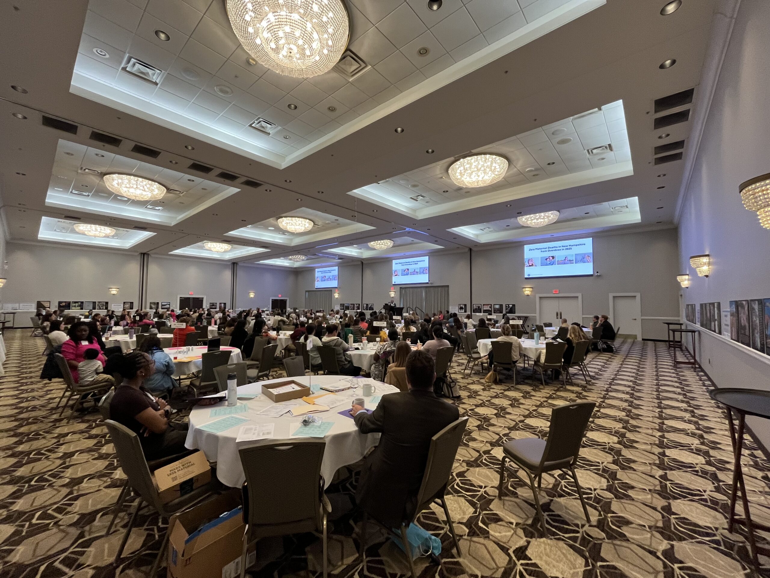 2026 Maternal Health Summit photo 7