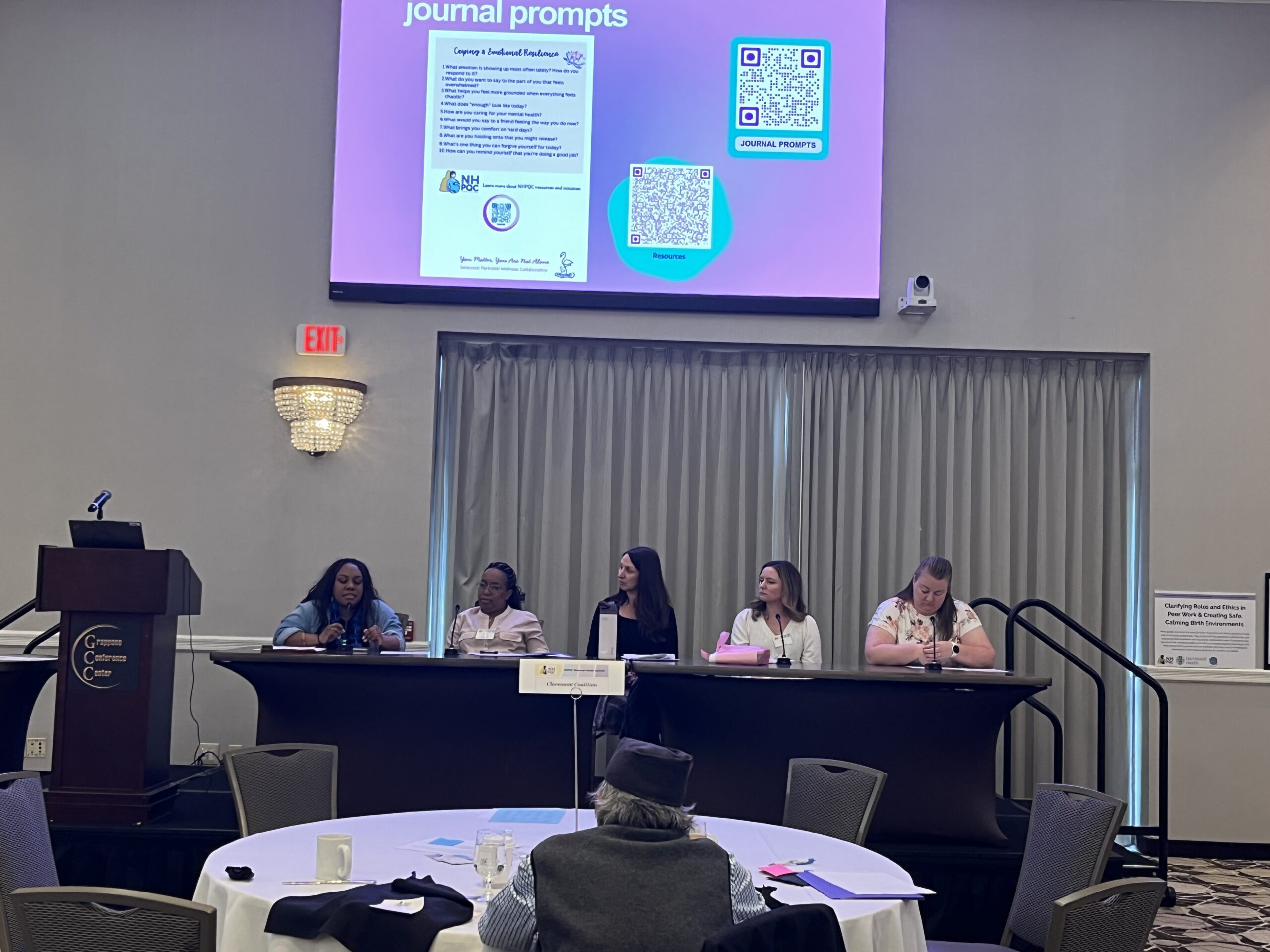 2026 Maternal Health Summit photo 2